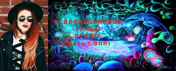 герыч Пересвет