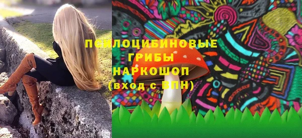 молекула духа Крымск