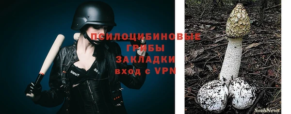 прущая мука Гусев