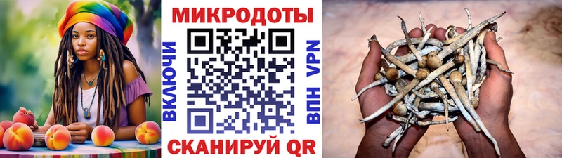 Галлюциногенные грибы мицелий  купить  цена  Сердобск 