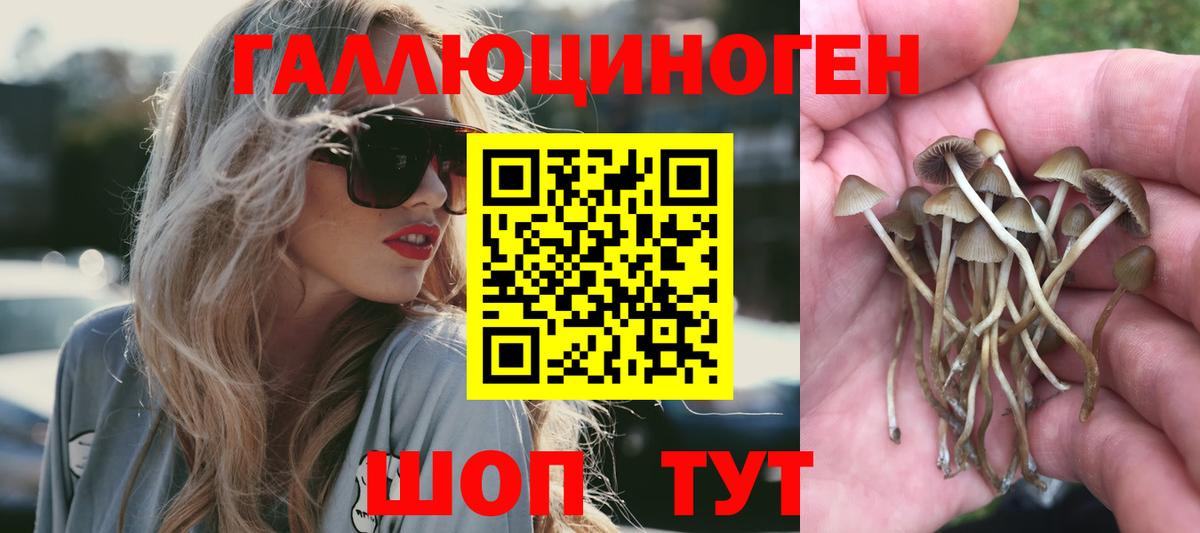 Галлюциногенные грибы мицелий Сердобск